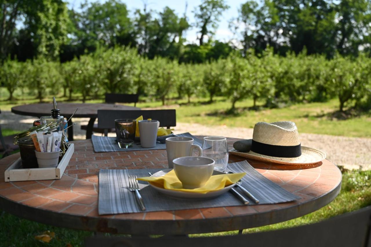 Mas De Capelou Bed & Breakfast Avinyon Dış mekan fotoğraf